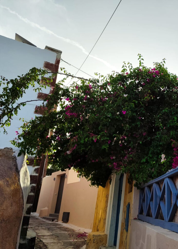Mesaria Santorini